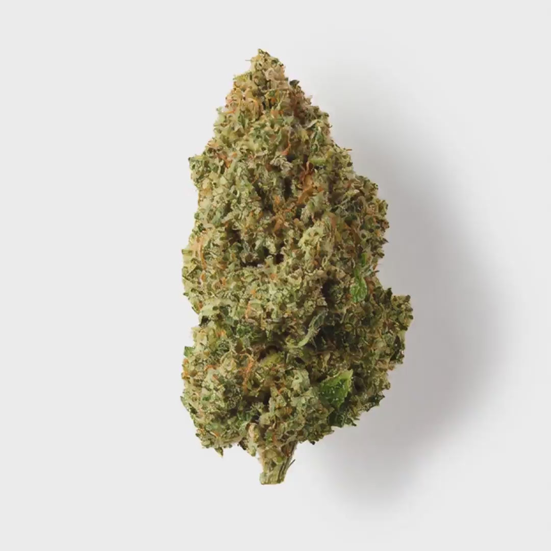 Rochanna Orange Martini CBD flower with premium indoor grown buds and 18% CBD