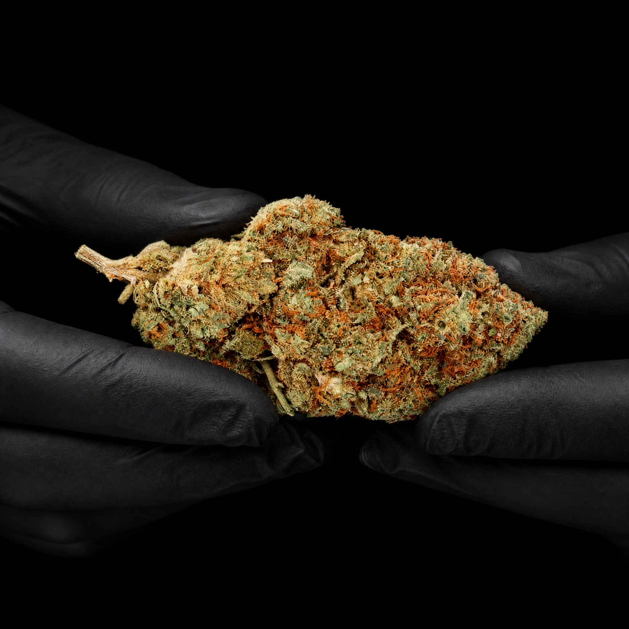 Easy Weed Banana Kush CBD flower with greenhouse grown buds and 14% CBD