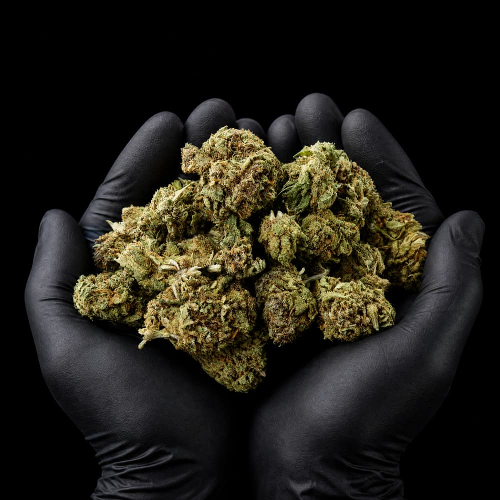 Blue Dream | CBD Flowers | Easy Weed | Pops | 14% CBD - 7g (2x 3.5g)