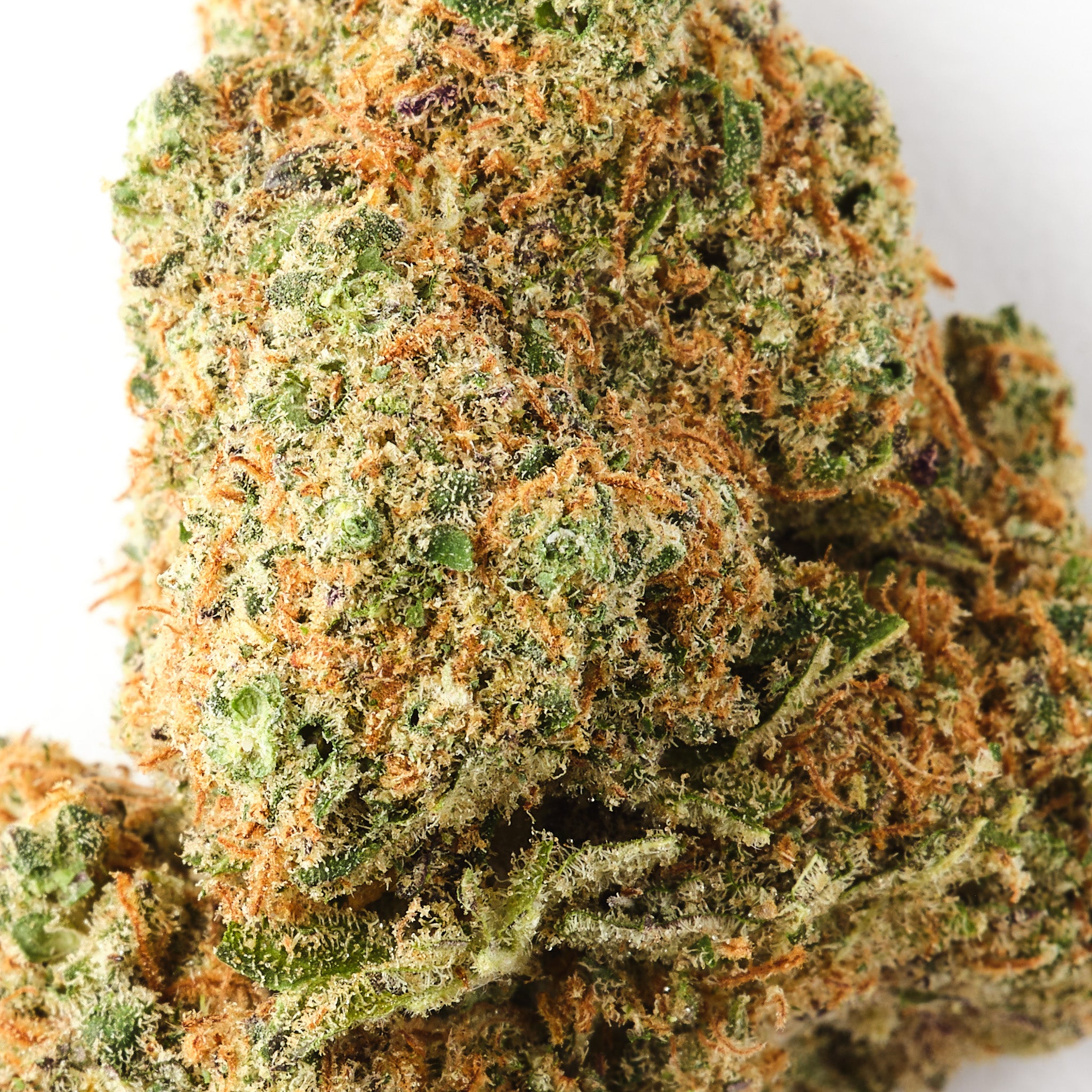 HempHash Blueberry CBD flower showing chunky trichome covered indoor hemp buds