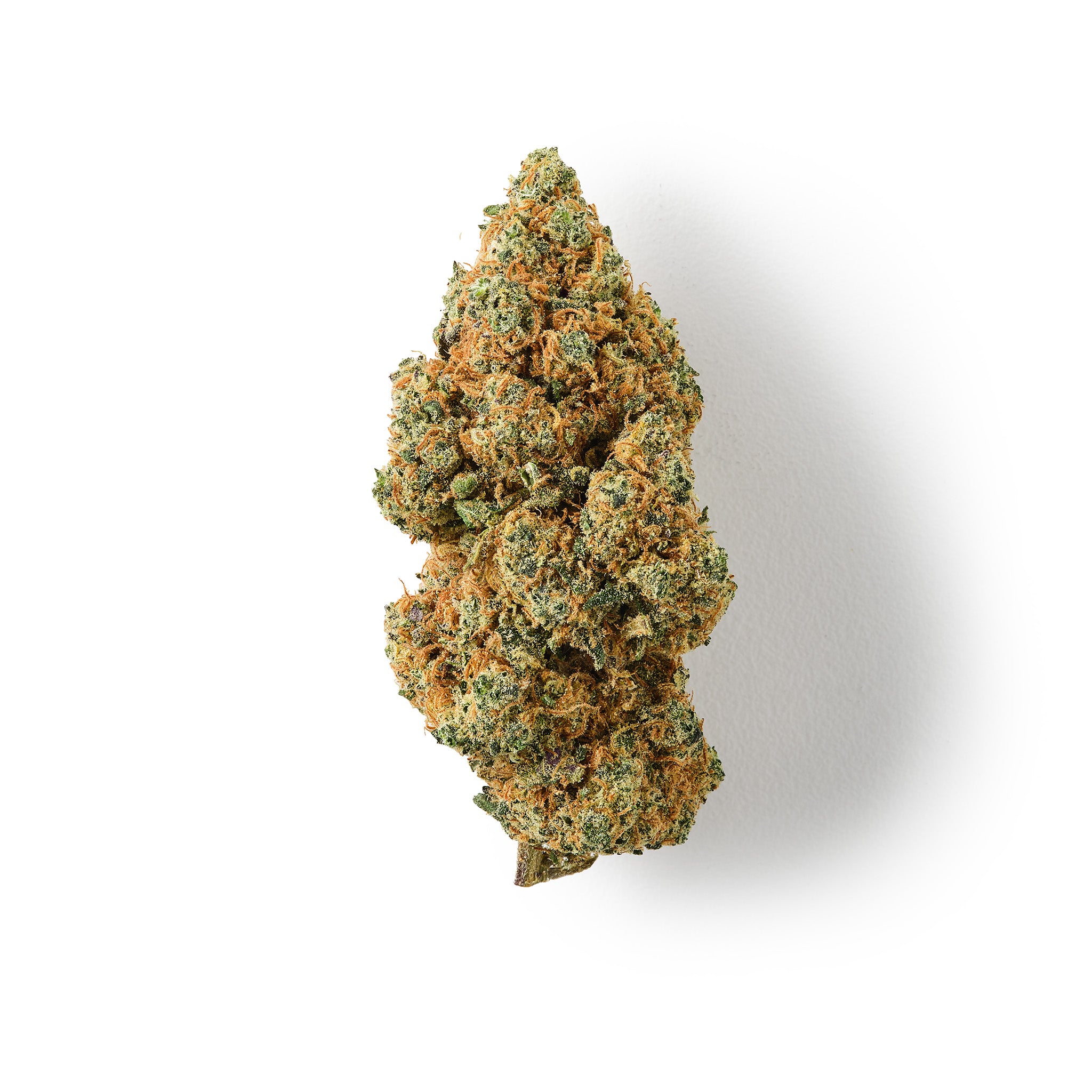 Rochanna Blueberry Muffin CBD flower with dense frosty green buds and vibrant orange pistils