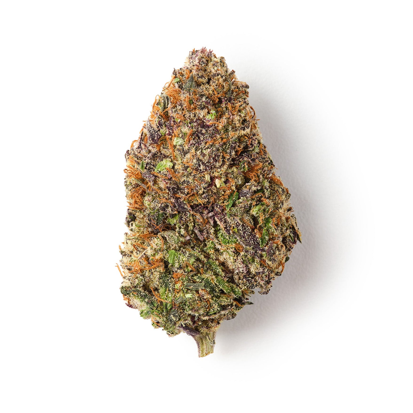 Rochanna Bubba Kush CBD flower with dense frosty buds vibrant orange pistils and purple hues