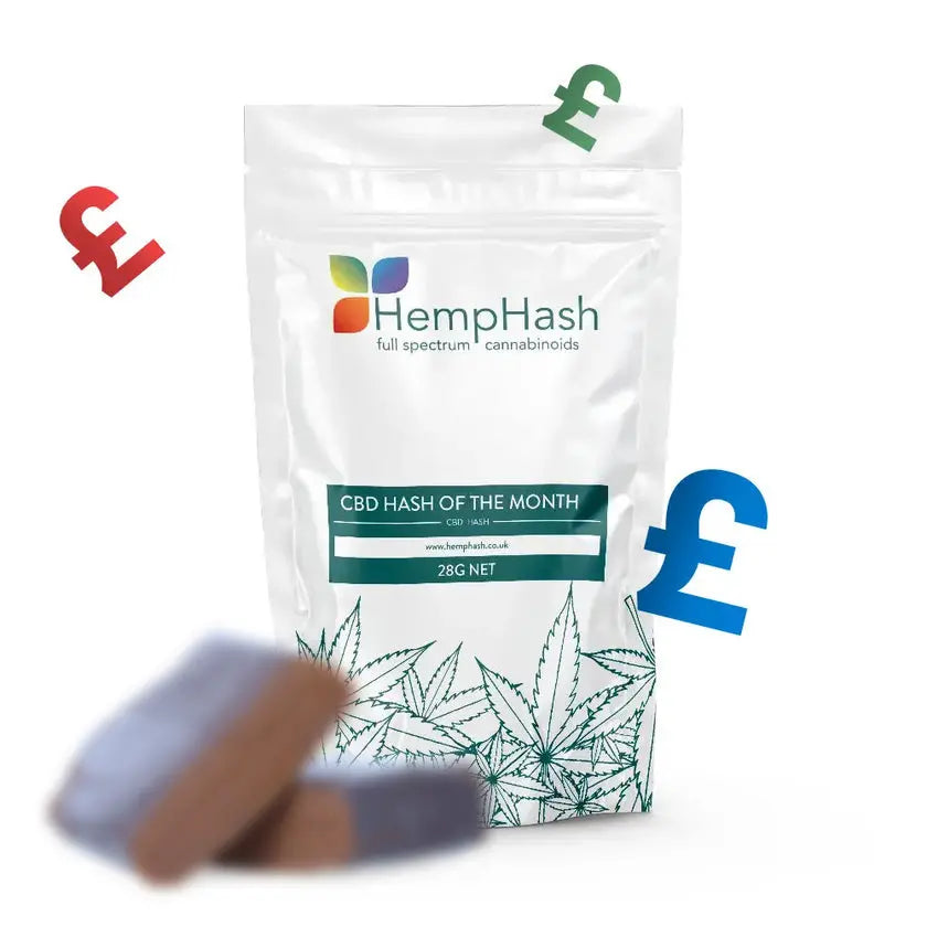 CBD Hash of the Month with premium pressed hemp hash texture