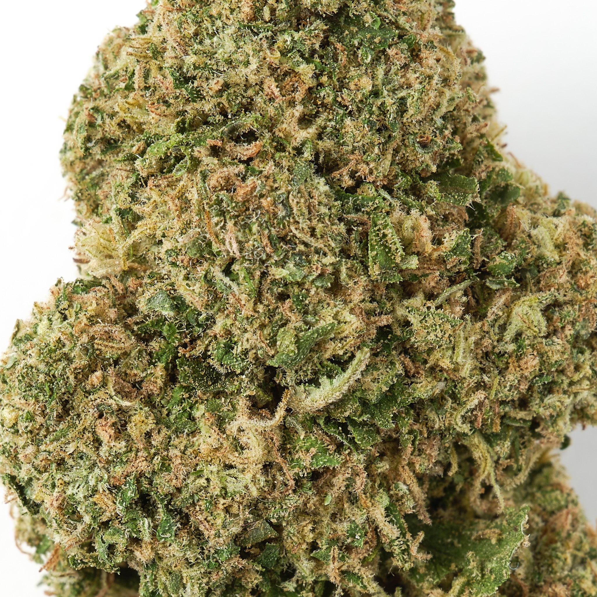 Rochanna Candy CBD flower showing perfectly manicured glasshouse grown hemp buds with trichomes