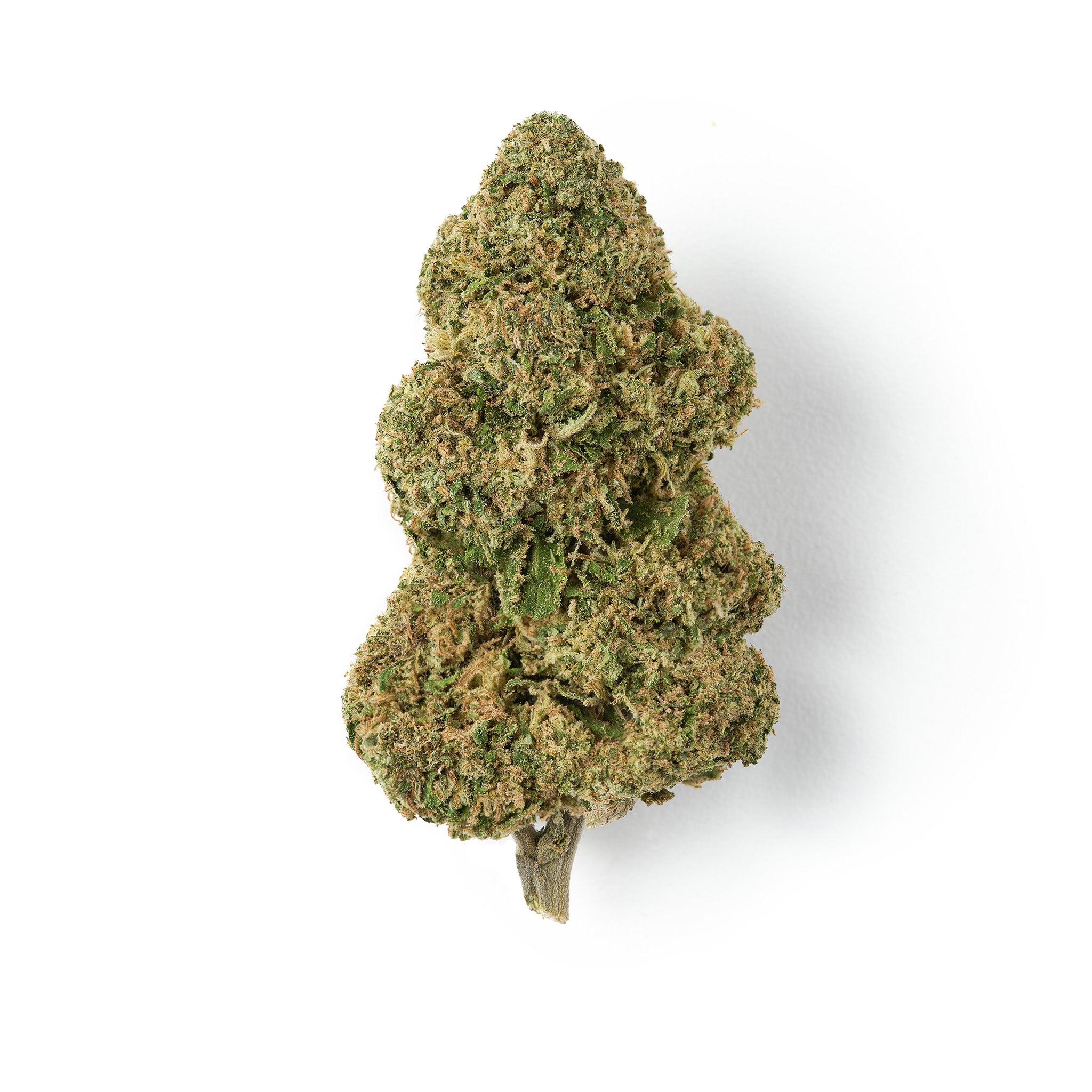 Rochanna Candy CBD flower with light green dense buds and vibrant orange pistils