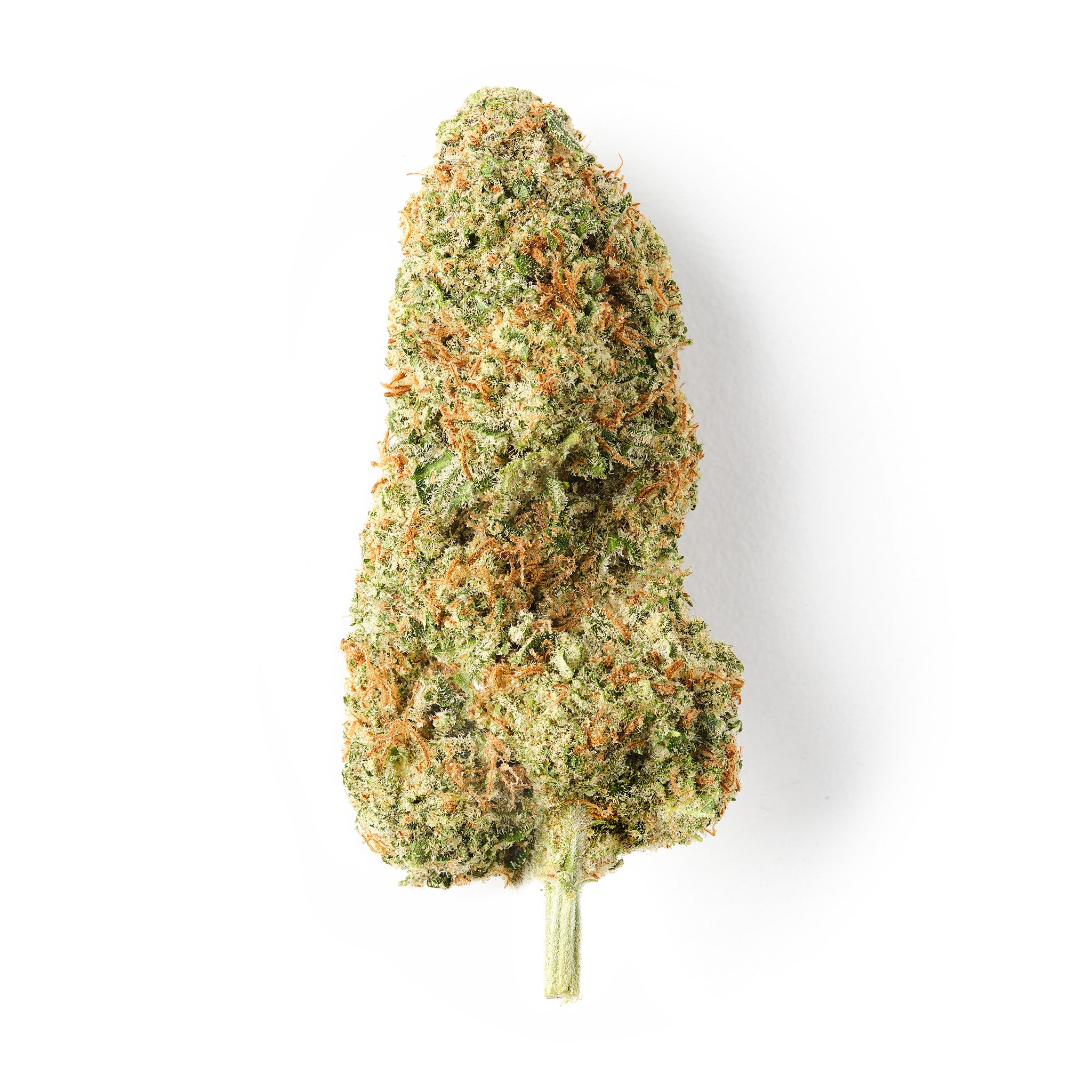 HempHash Cheese CBD flower with dense frosty deep green buds and vibrant orange pistils