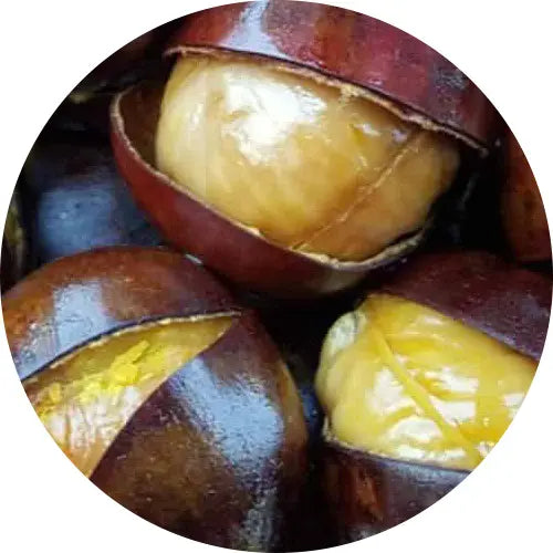 Chestnut