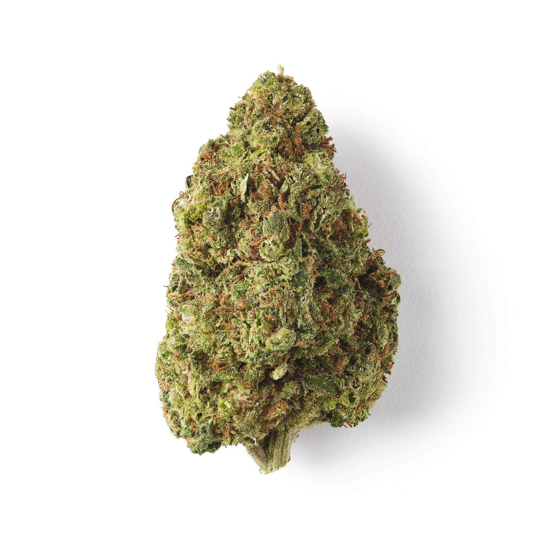 HempHash Cookies CBD flower with light green frosty buds and subtle amber pistils