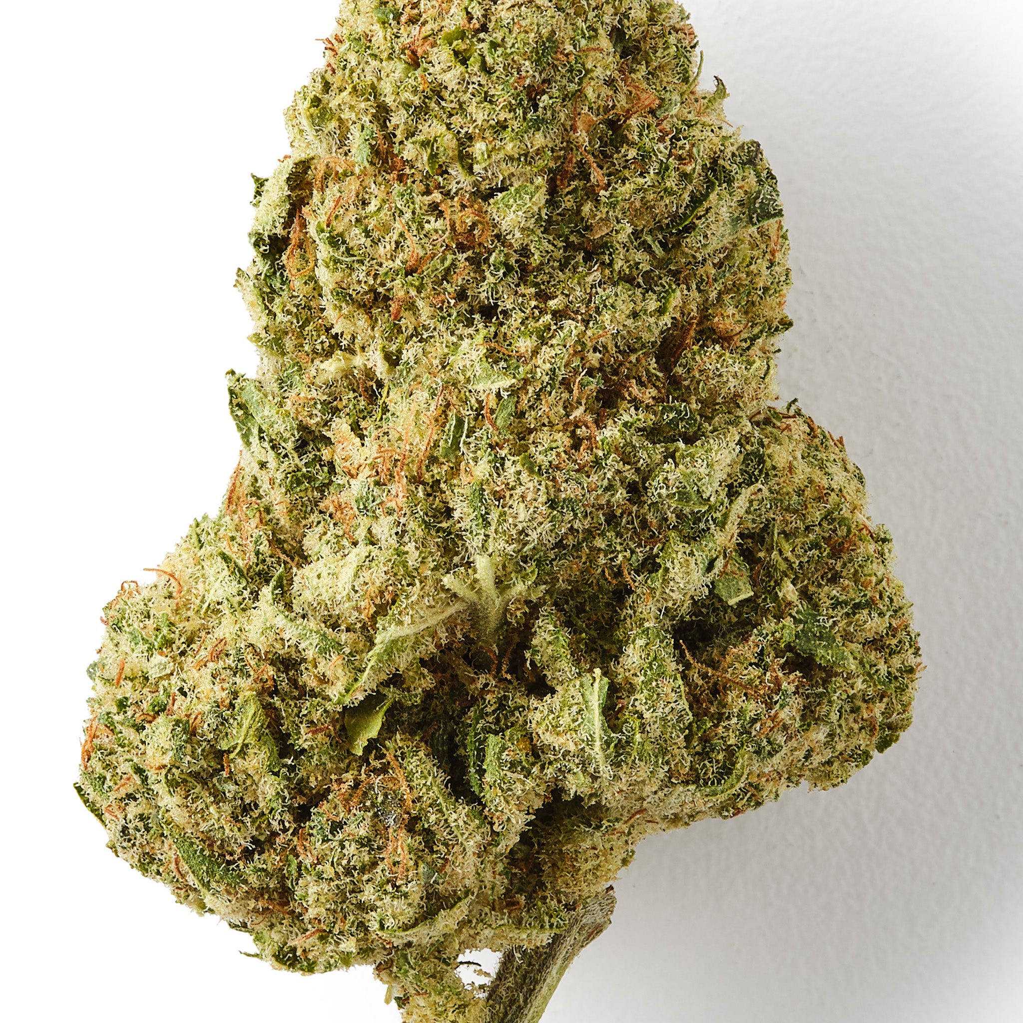 HempHash Forbidden Fruit CBD flower showing dense trichome covered indoor hemp buds