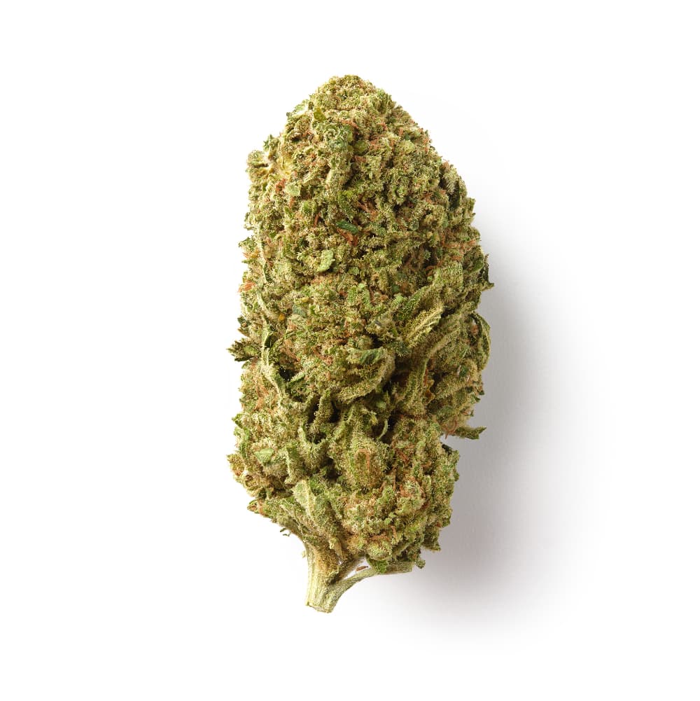 Fruit Cake | CBD Flower | Glasshouse + Light Support | HempHash | 15% CBD - 28g (2x 14g)