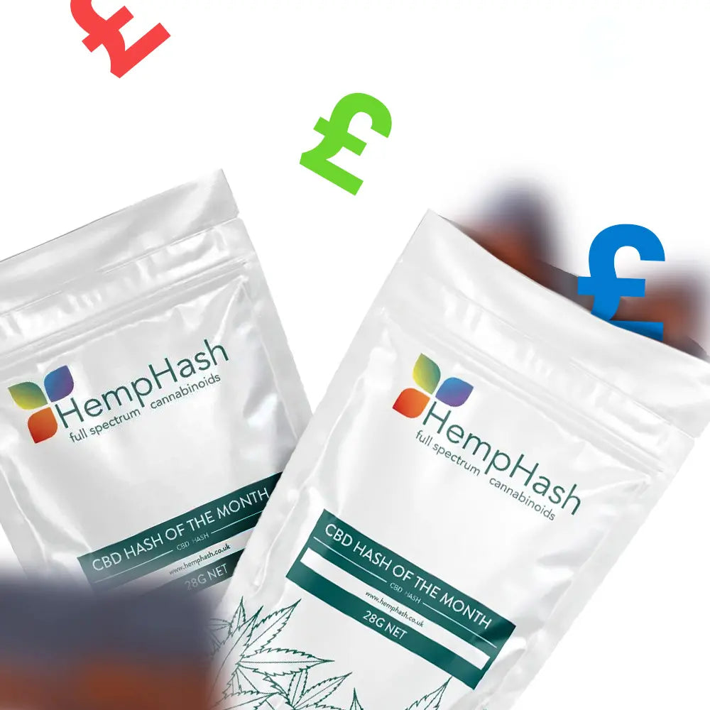 CBD Hash of the Month with premium pressed hemp hash texture and rotating varieties