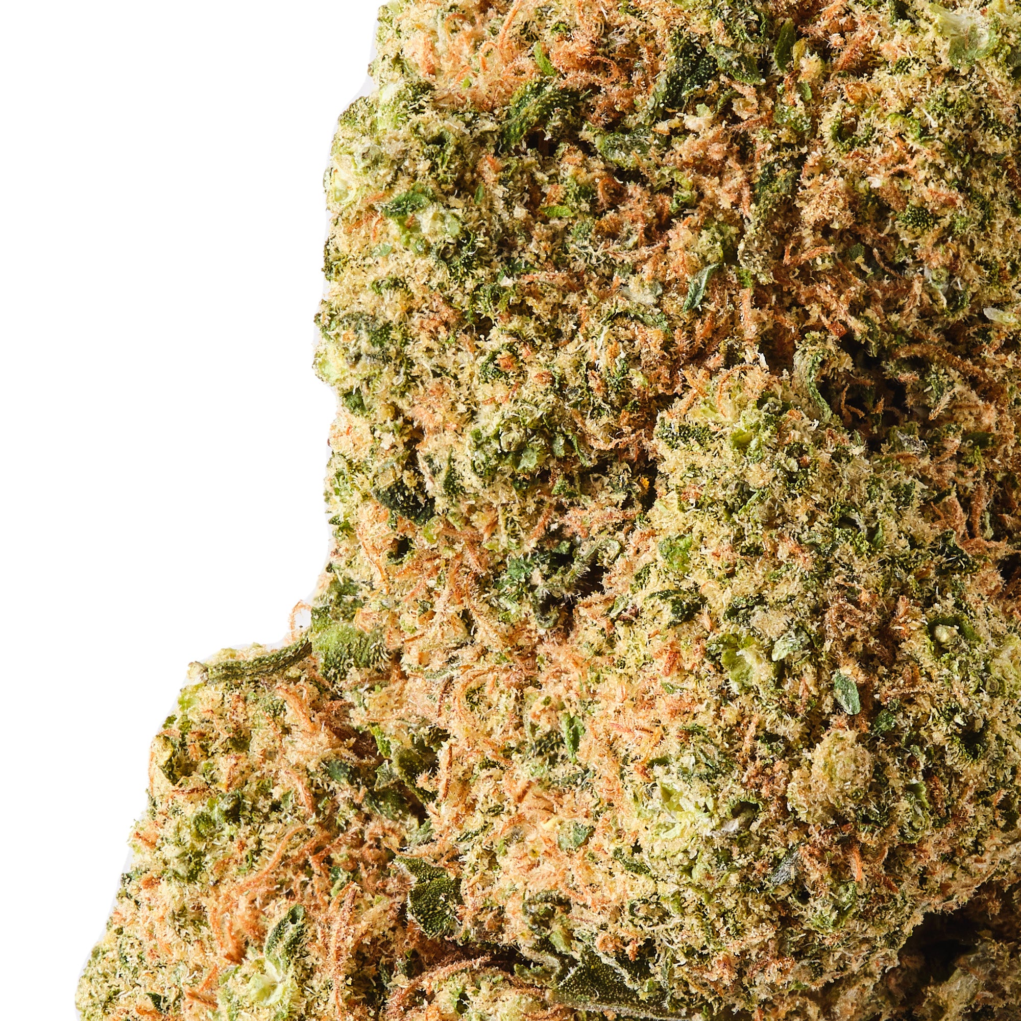 Rochanna Harlequin CBD flower showing perfectly manicured trichome covered indoor hemp buds