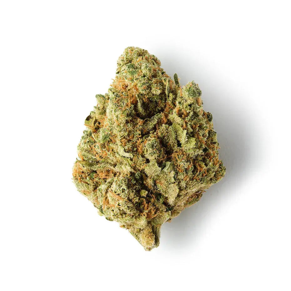 Rochanna M8 Amnesia CBD flower with light green frosty buds and vibrant orange pistils