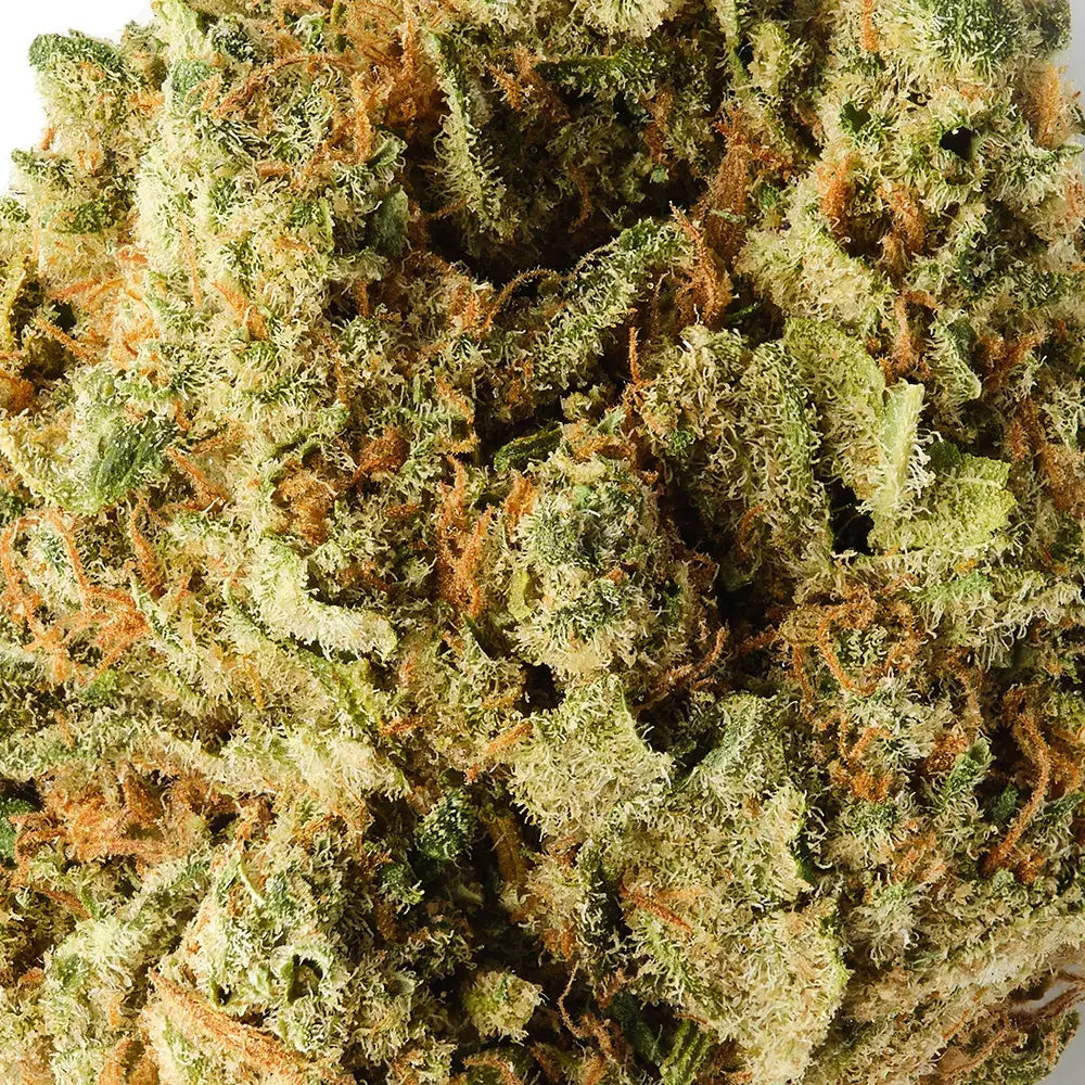 M8 Amnesia | CBD Hemp Flower | Exquisite Indoor | 13% CBD - 28g (2x 14g)