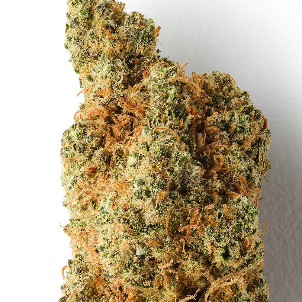 Rochanna Gorilla Mandarin CBD flower showing dense trichome covered indoor hemp buds