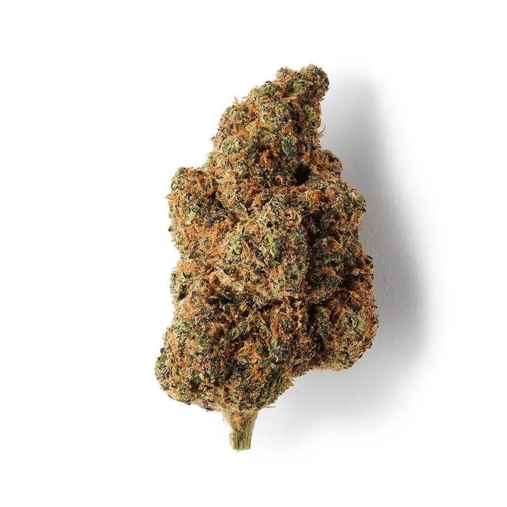 Tropical Dream | CBD Flower | Exquisite Indoor | 13% CBD - 7g (2x 3.5g)