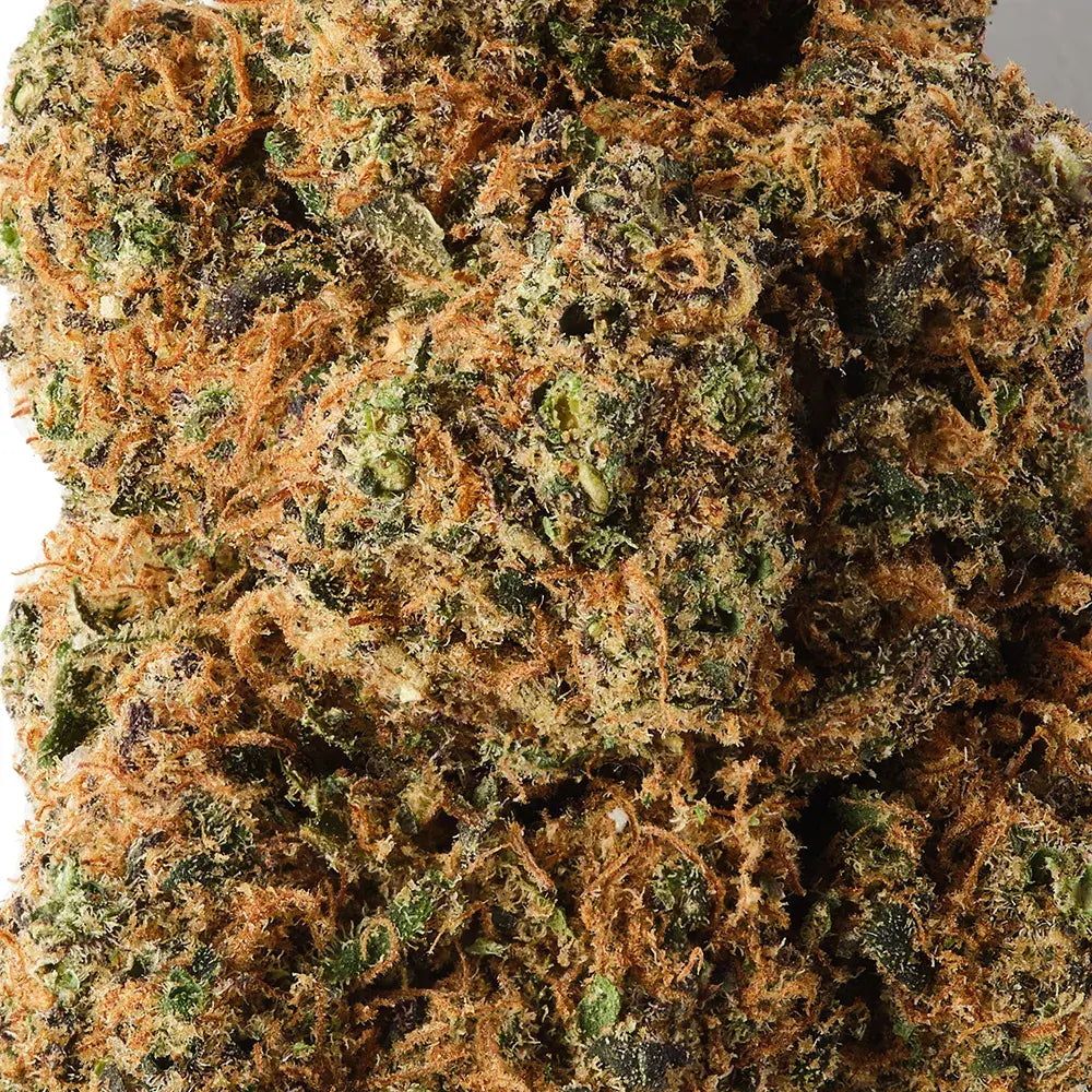 Rochanna Tropical Dream CBD flower showing dense trichome covered indoor hemp buds