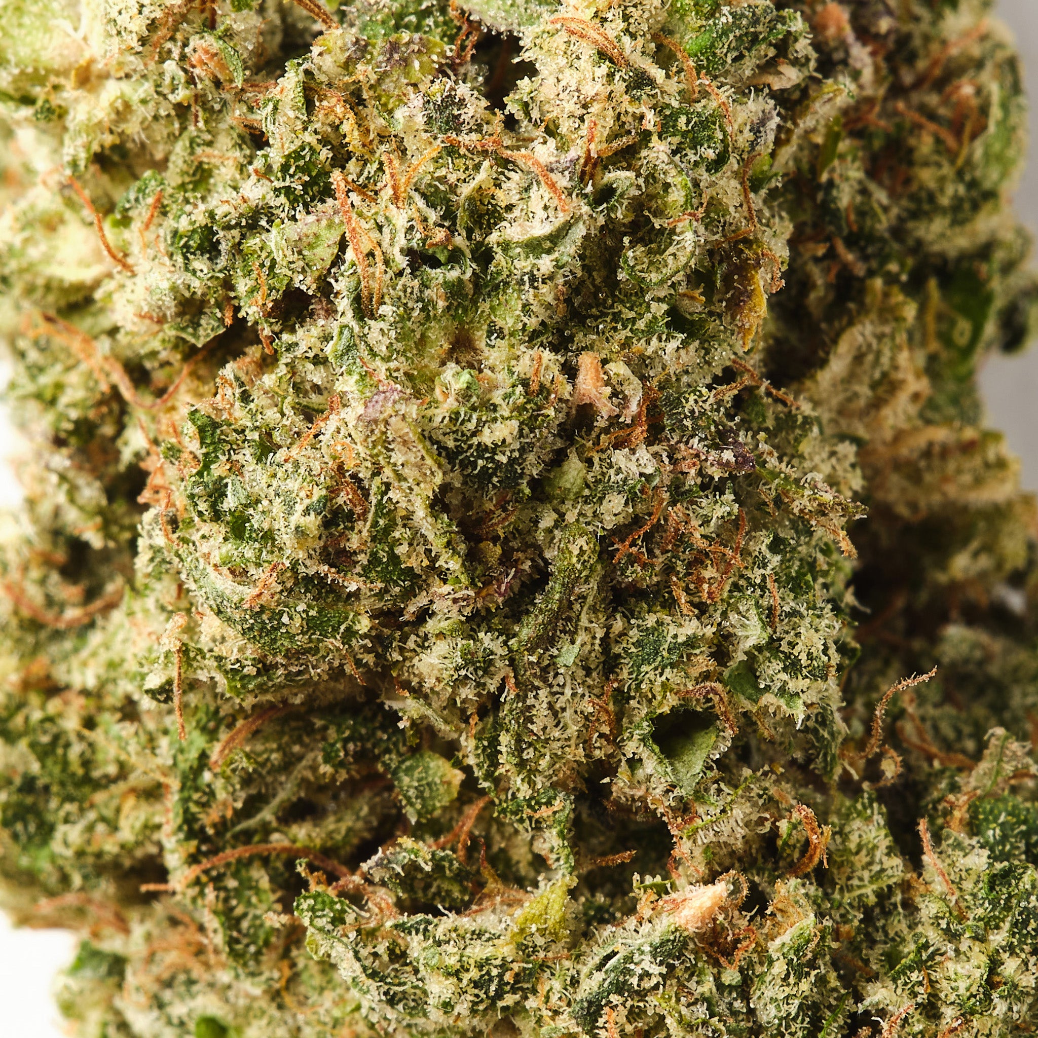 Lemon Kush Burst | CBD Flower | Exquisite Indoor | 16% CBD - 14g
