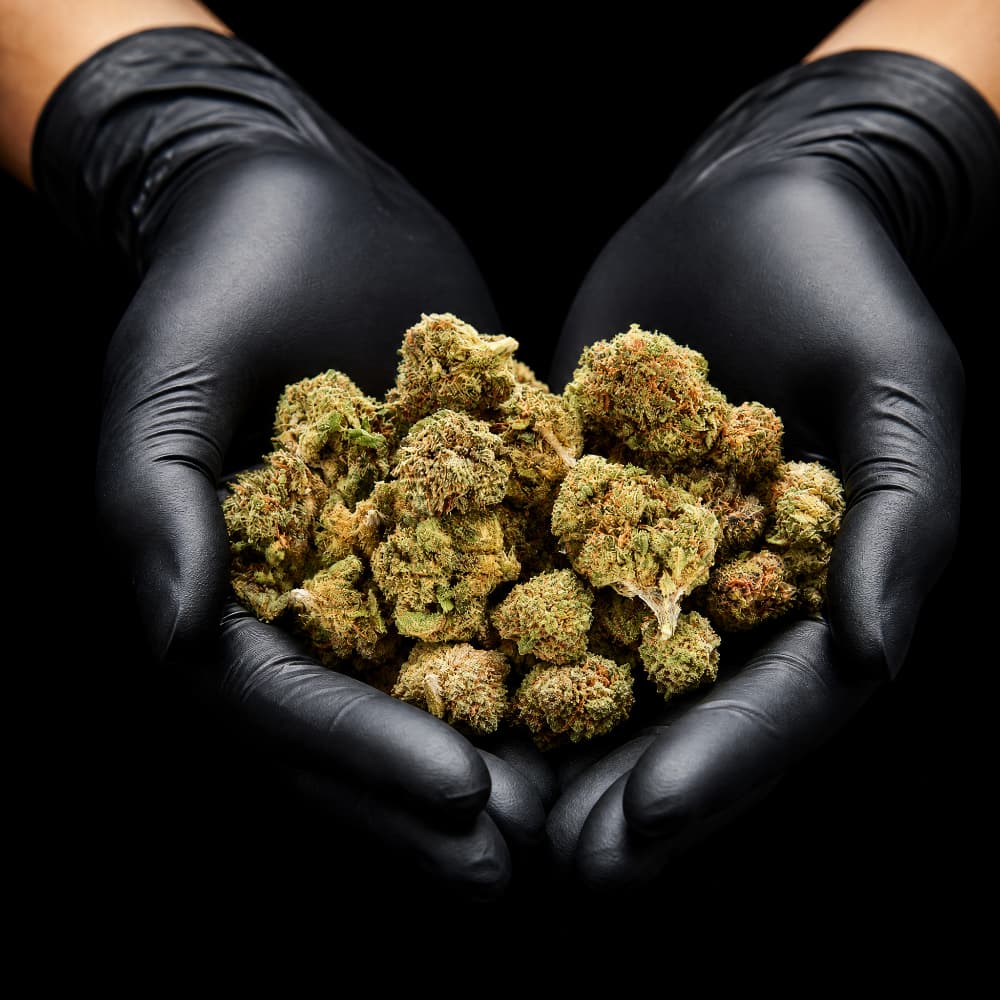 OG Kush | CBD Flowers | Easy Weed | Pops | 14% CBD - 14g