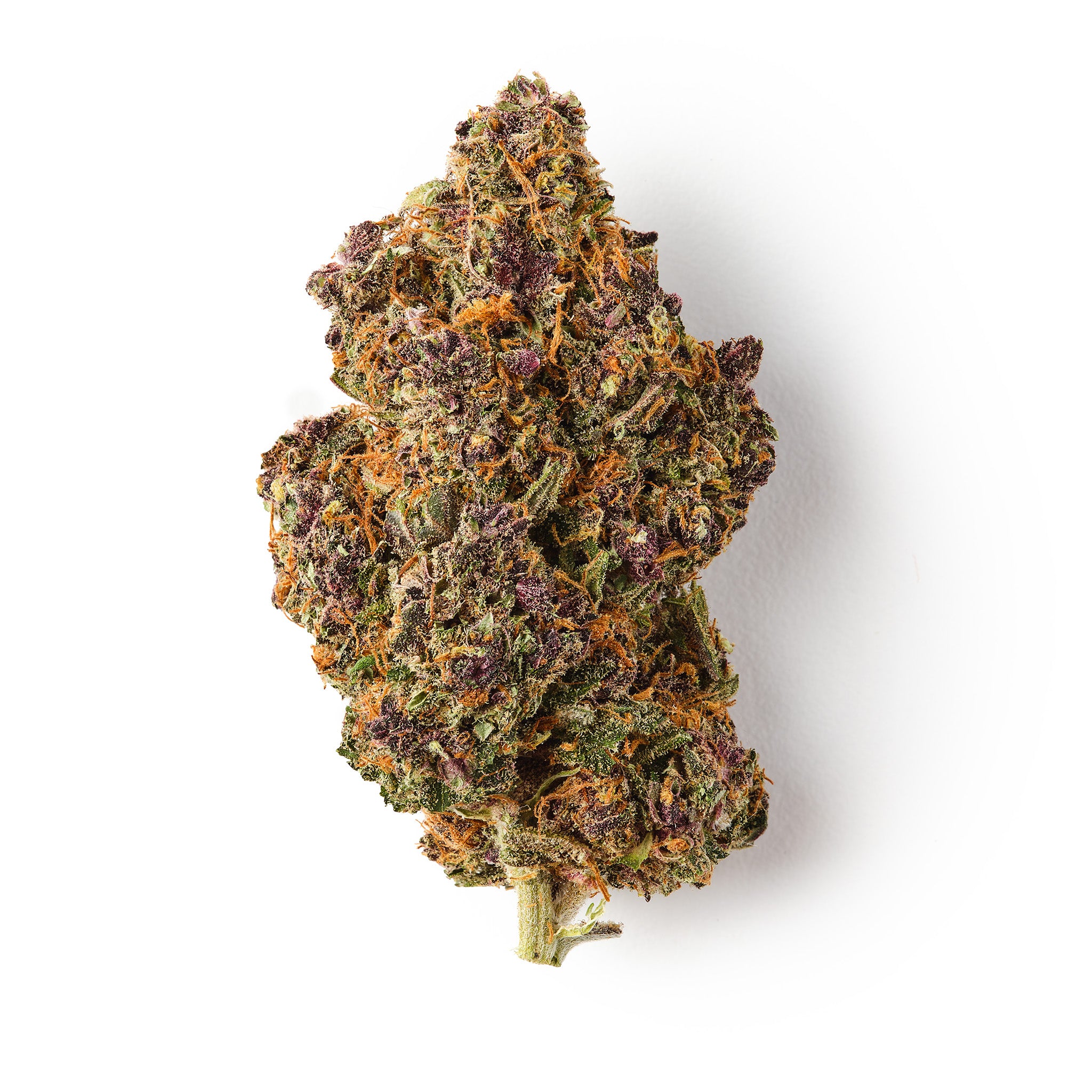 Rochanna Chardonnay CBD flower with dense frosty buds vibrant orange pistils and purple hues