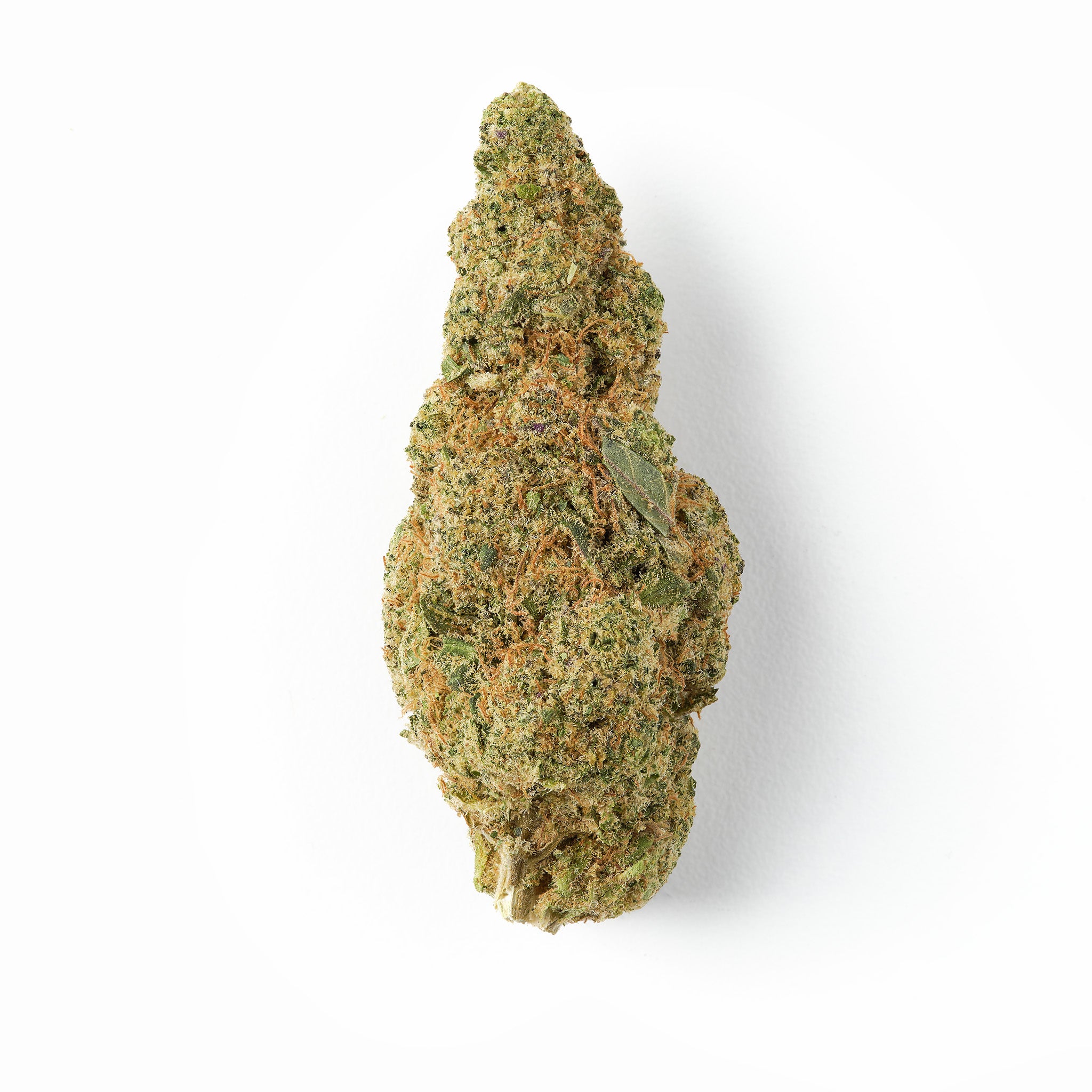 HempHash Plutonium CBD flower with dense frosty green buds and subtle orange pistils