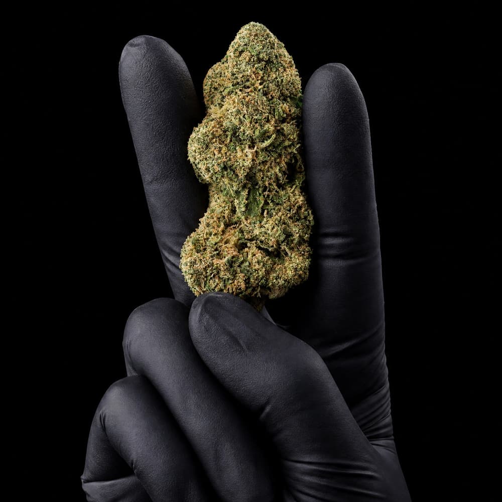 Rochanna Candy CBD flower with premium glasshouse grown buds and 11% CBD