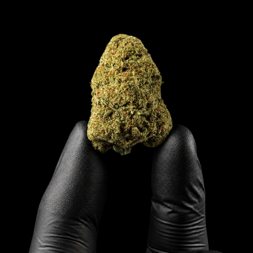 Rochanna Cannatonic CBD flower showing chunky trichome covered boutique indoor hemp buds