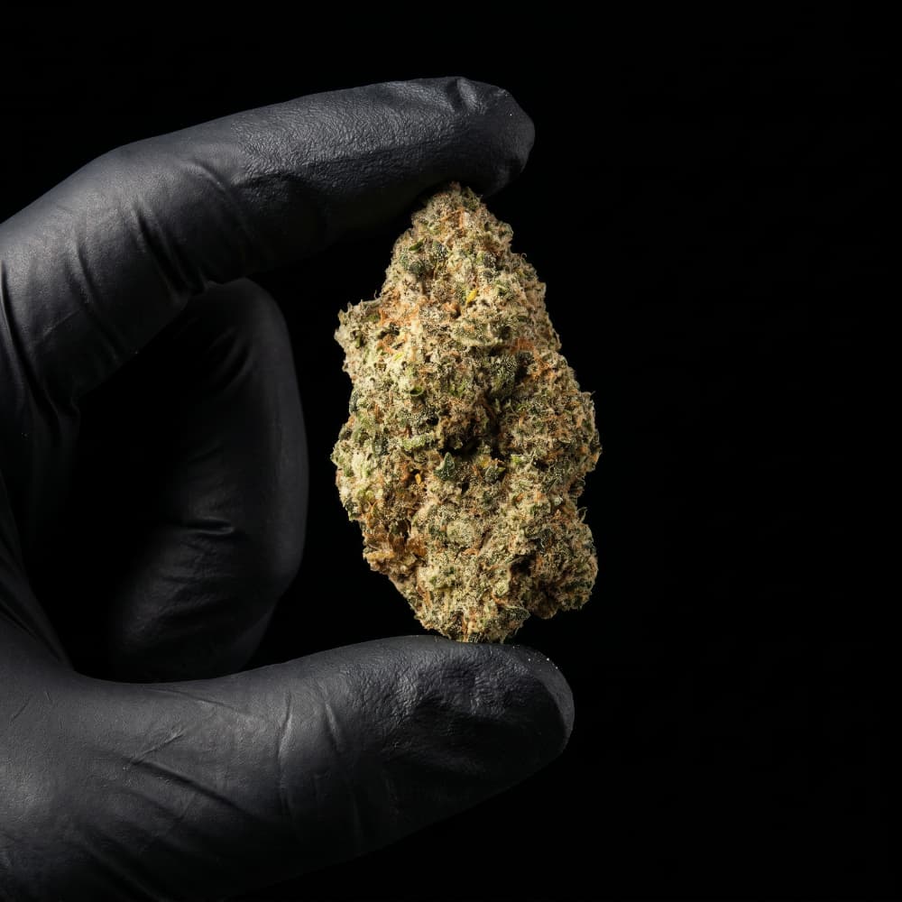 Legendary Skunk CBD flower premium indoor hemp flower with 17% CBD