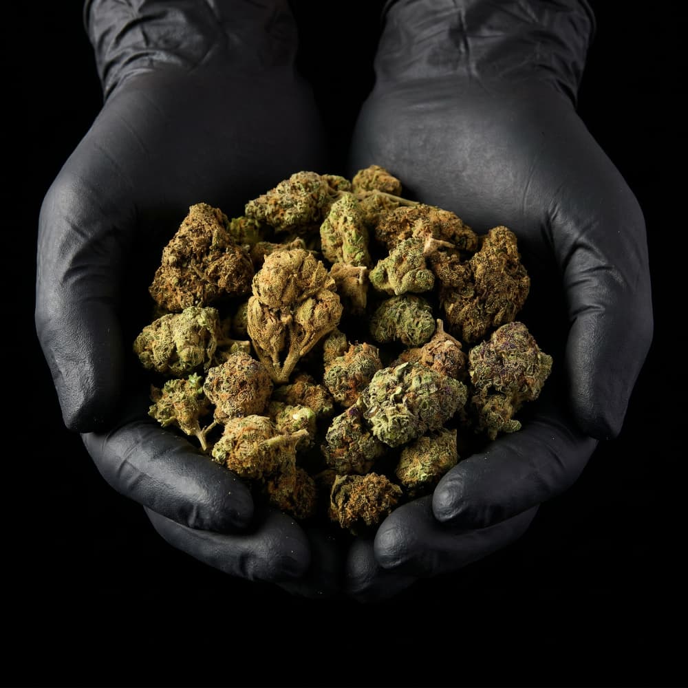 Mixed Hemp Flower | End Of Batch | 16% CBD - 3.5g