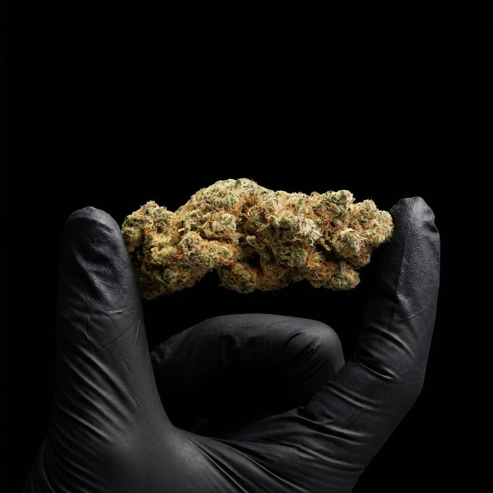 Strawberry Payton CBD flower premium indoor grown hemp flower with 16% CBD
