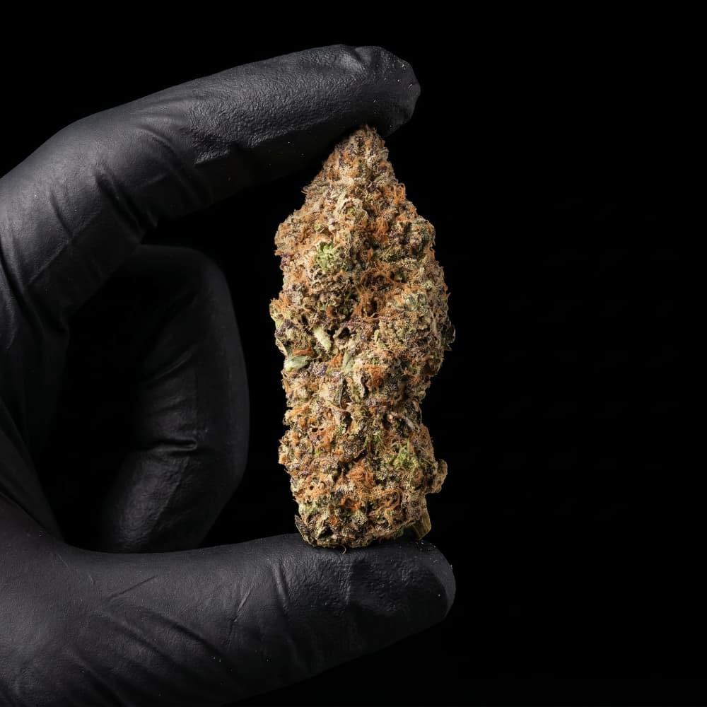 Rochanna Super Boof CBD flower with premium indoor grown buds and 18% CBD