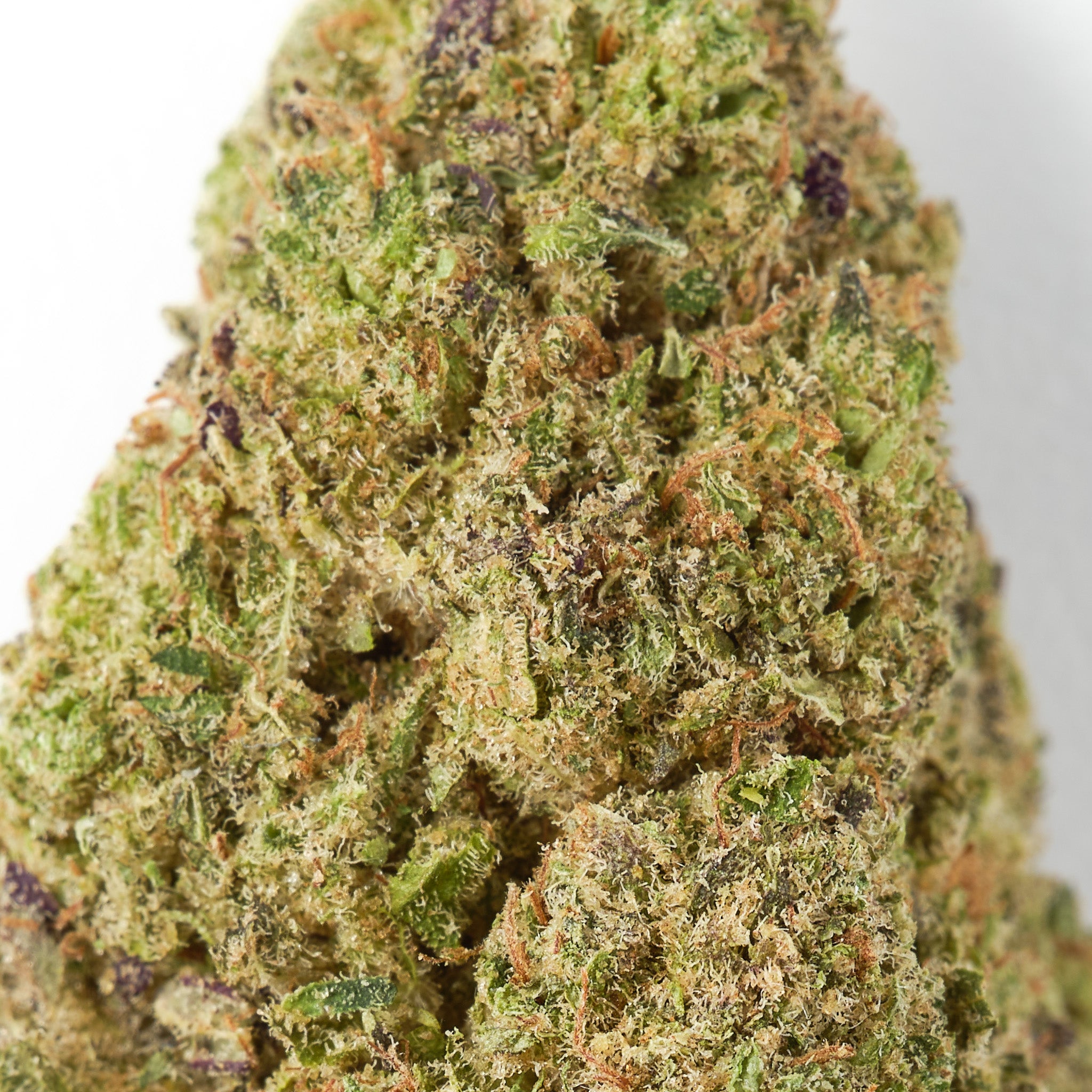 HempHash Snowflake CBD flower showing dense trichome covered premium indoor hemp buds