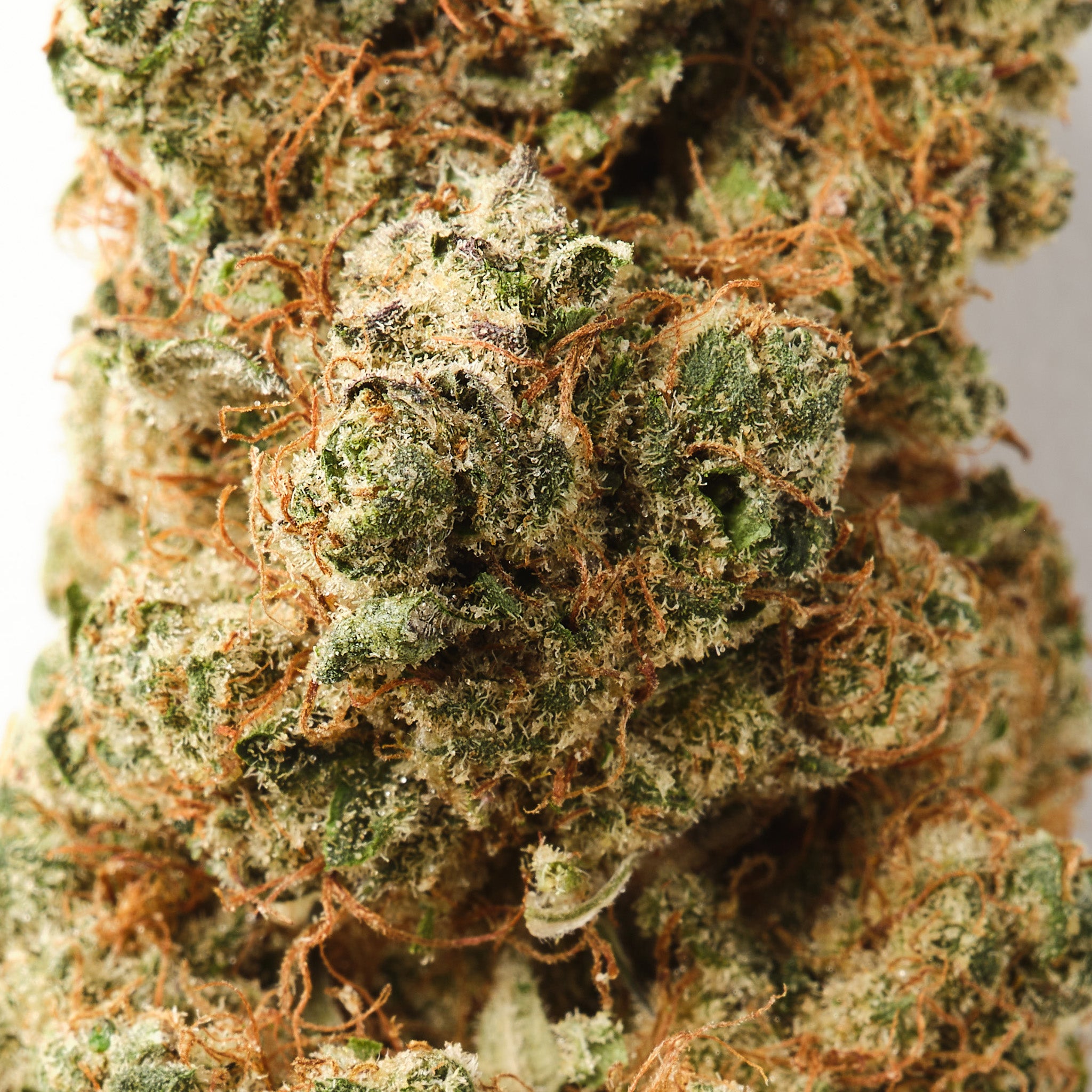 Close-up of Strawberry Payton CBD flower featuring dense frosty buds with rich strawberry, woody and creamy terpene notes