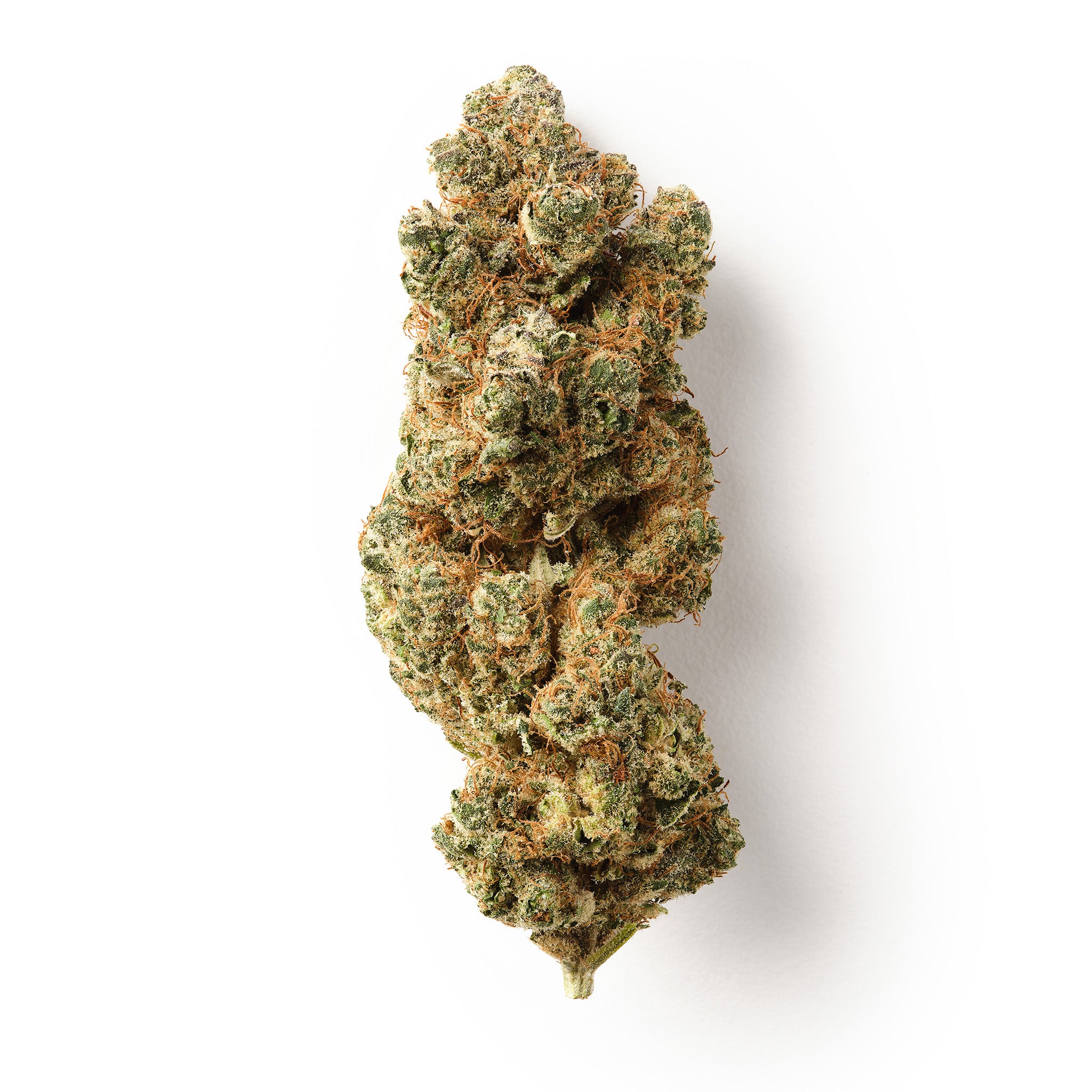 Strawberry Payton CBD flower with dense frosty buds and vibrant orange pistils