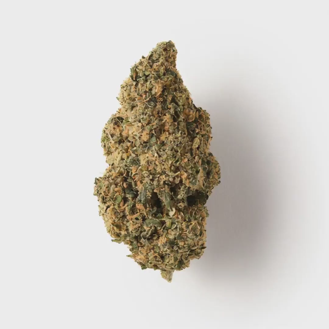 Rochanna Slurp CBD flower with dense frosty green buds and vibrant orange pistils