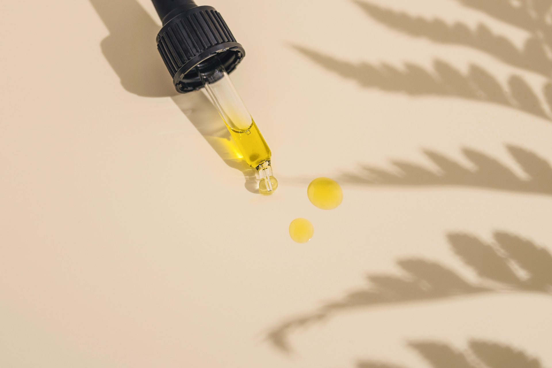 Understanding the Shelf Life of CBD Oil: How Long Does it Last in the Bottle?