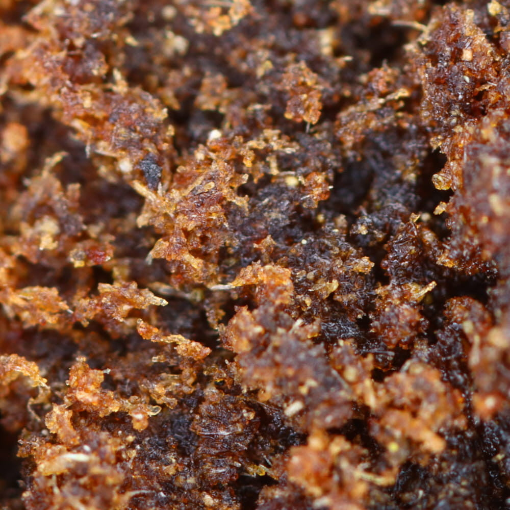 The Fat | CBD Hash | Easy Weed | 24% CBD - 28g (2x 14g)