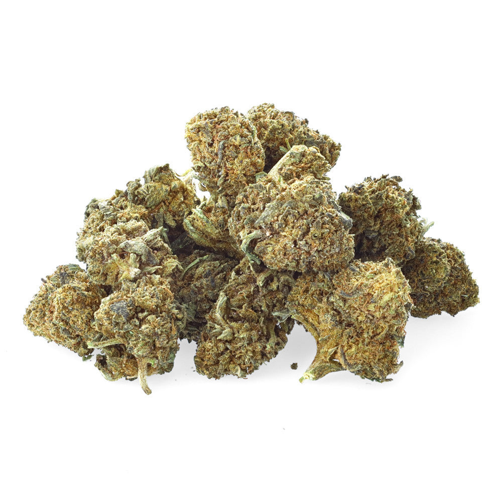 Easy Weed Sour Tangie CBD flower with small green buds and vibrant orange pistils